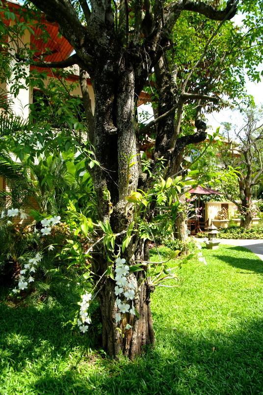 Iyarintara Resort Chiang Mai Ханг-Донг Экстерьер фото